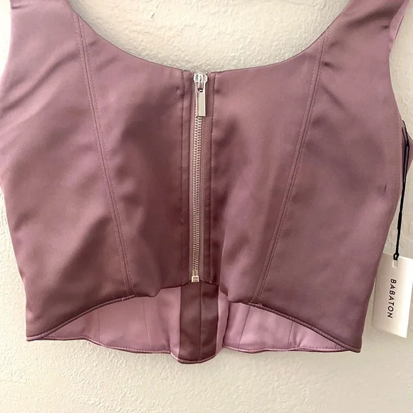 Aritzia Babaton Bustier - Picture 6 of 6